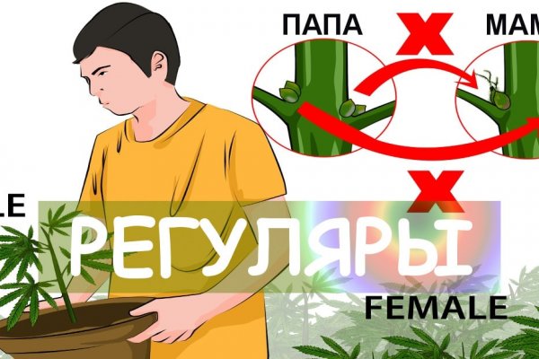 Сайт мега кракен