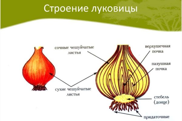 Ссылка на кракен через тор