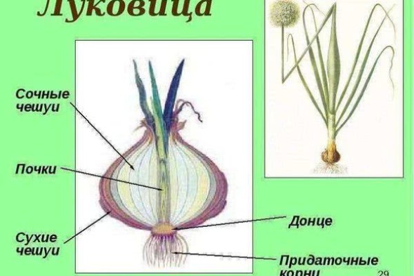 Ссылки на кракен at