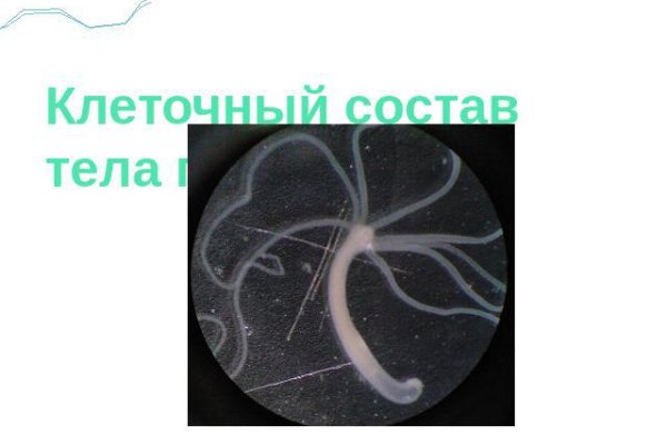 Кракен сайт нарк