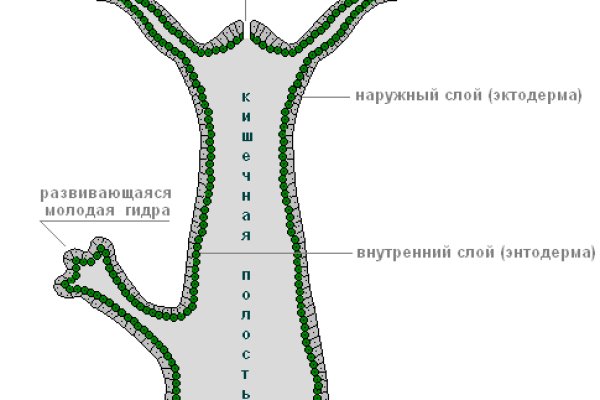 Кракен лучший маркетплейс