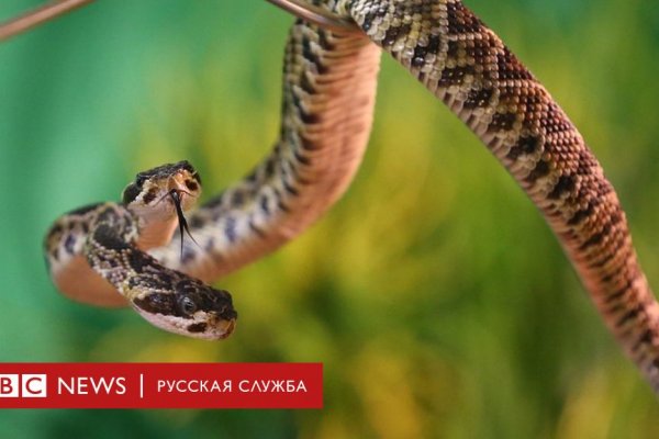 Кракен маркет что это
