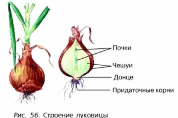 Сайты продаж наркотиков
